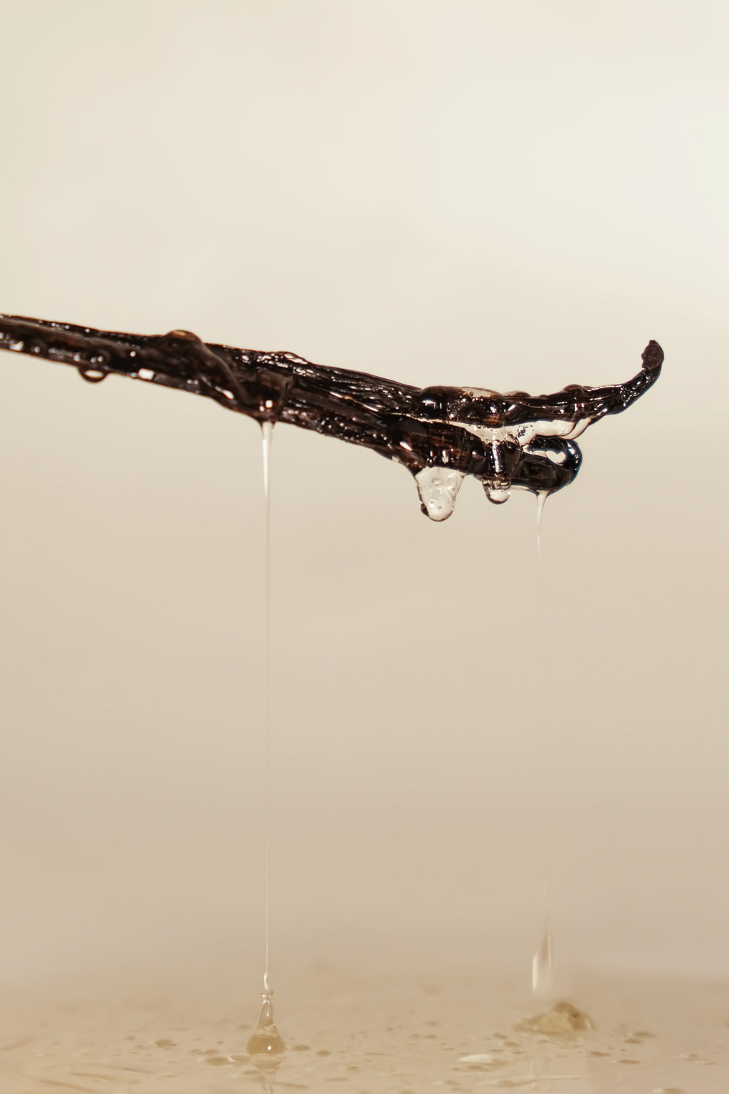 Vānilla Infused Tallow Moisturizer